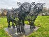 Neilston Bulls 2