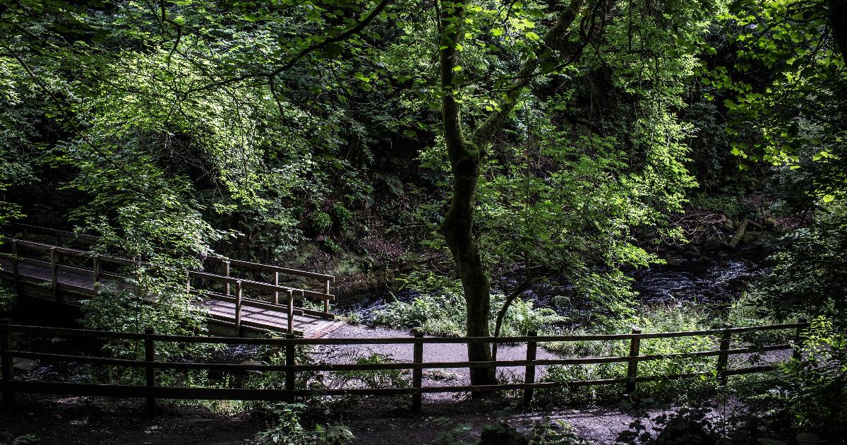 The Glen Walks, Rouken Glen Park - East Renfrewshire Council