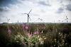 Whitelee Windfarm