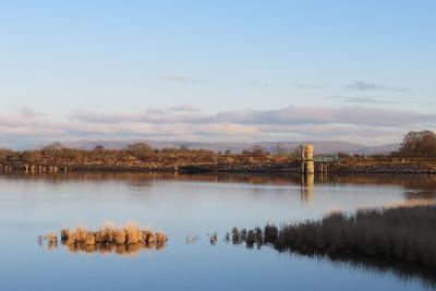 Dams to Darnley Park Reservoir